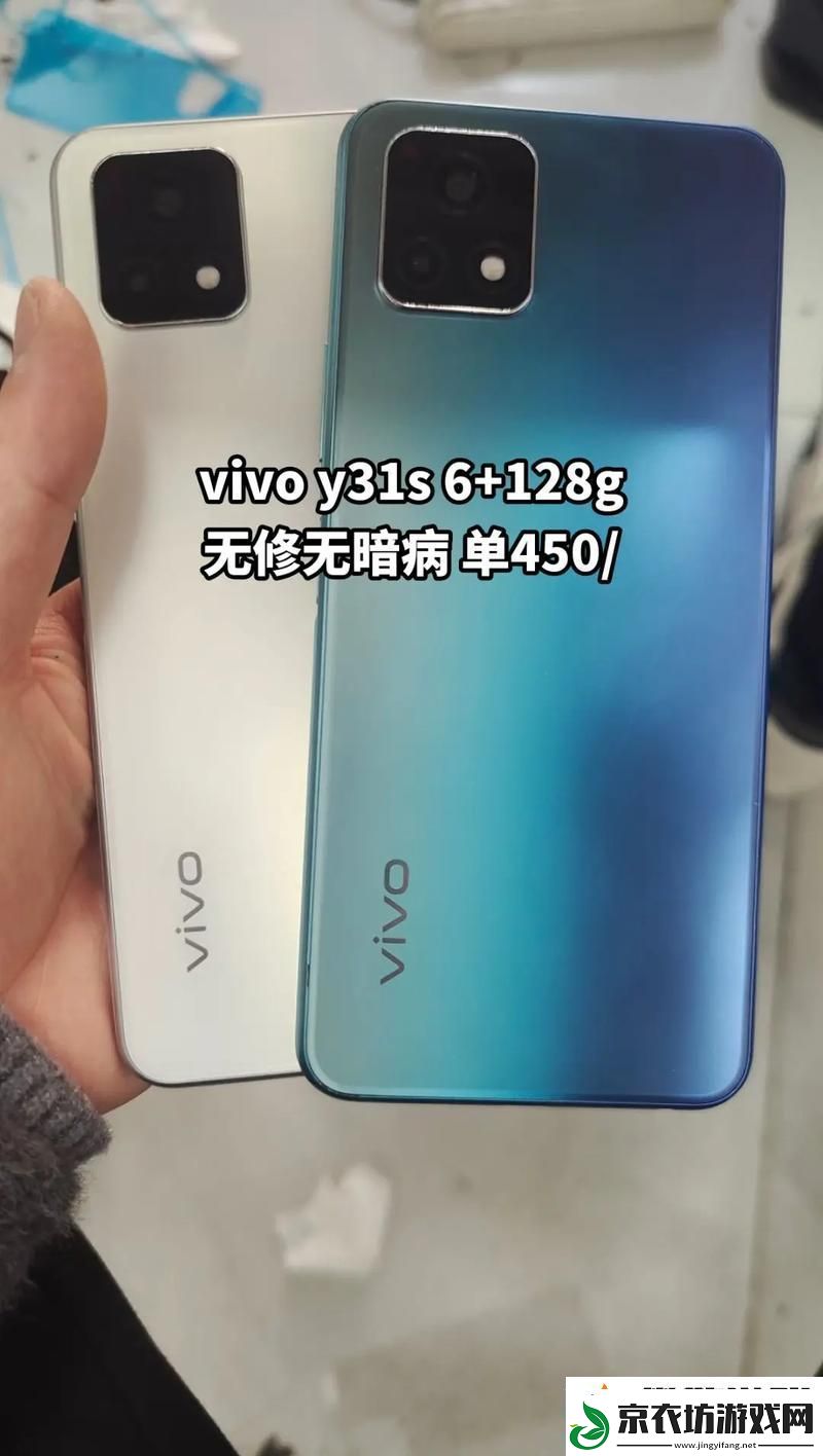“卓越品质与创新设计:-国内Y31S成为新宠”