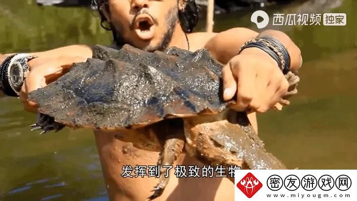 难道美国人真的只用动物胶进行所有配方吗-其实动物胶配方在美国的应用相当广泛！