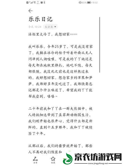 乐乐的-jianying-日记：我的生活点滴