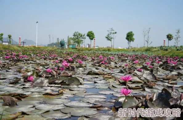 俄罗斯bbwTV最新动态：深度解析其在全球媒体中的影响力与发展趋势探讨未来可能的变化与挑战