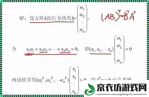 “浪子”行列式线性无关的“嬉皮笑脸”