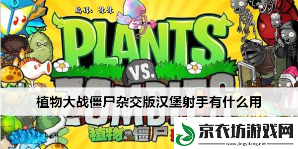 植物大战僵尸杂交版汉堡射手有什么用