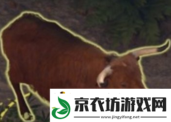 博德之门3古怪的公牛位置一览