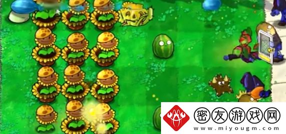 植物大战僵尸杂交版迷你游戏植物僵尸通关攻略
