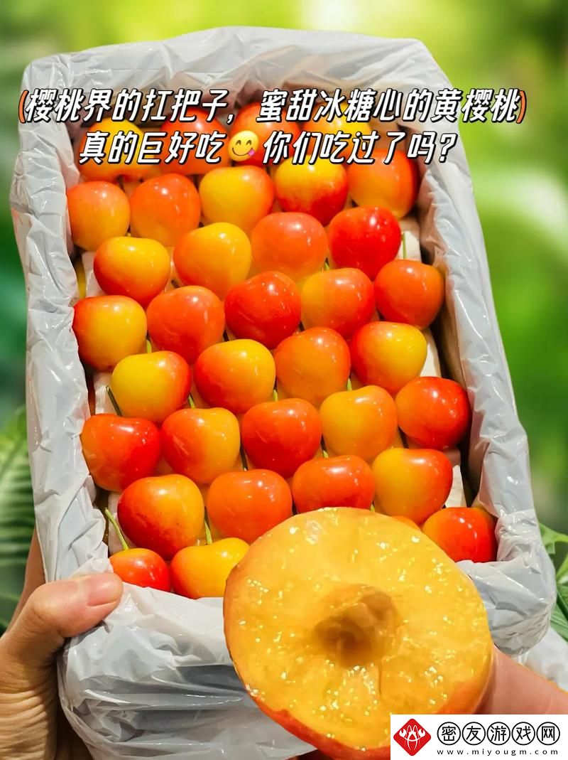 樱桃在线观看免费高清电视剧荣耀：追寻梦想与青春的竭力展现