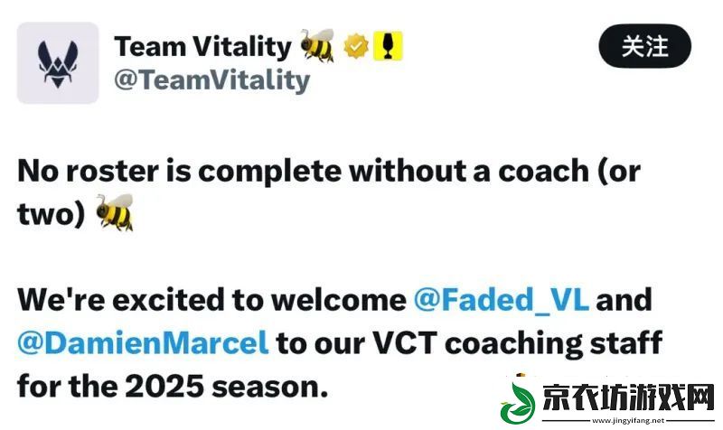 VIT官宣：前TSM教练Faded担任主教练-携手Malek征战新赛季
