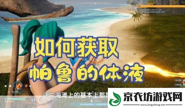 幻兽帕鲁帕鲁体液获取全攻略