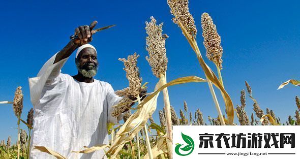 探索种子天堂：实现生物多样性与可持续农业的未来