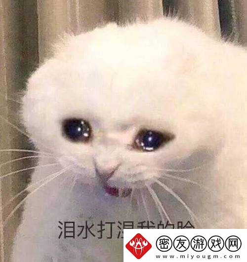 啊哈哈哈哈主人我错了哈哈哈哈柯：调皮的柯！