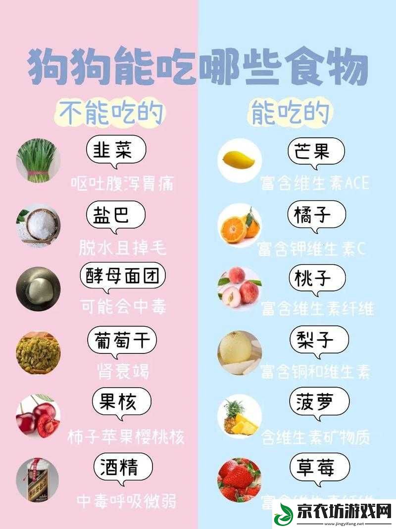 人狗胶配方大全免费详细内容汇总