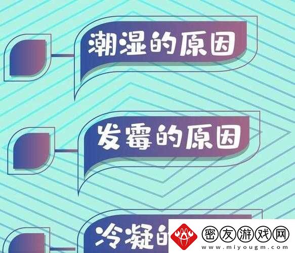 喷潮湿怎么办到的：成为潮湿控制大师的秘诀