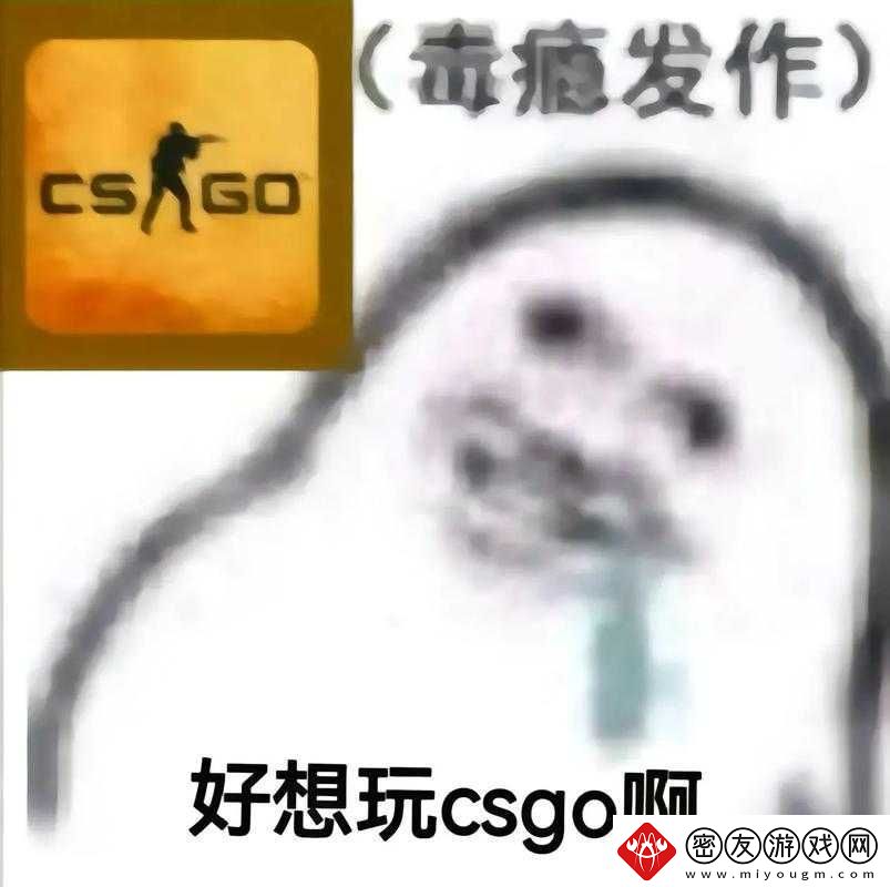 55-岁大妈玩-CSGO：别样人生的游戏之旅
