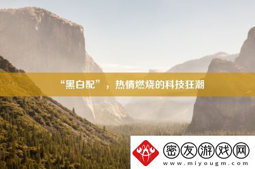 “黑白配”-热情燃烧的科技狂潮