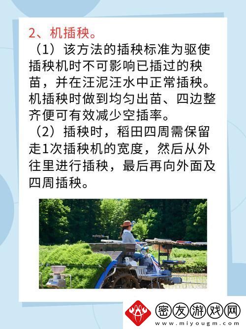 夫妻插秧38种方法图片大全-网友：用心和爱编织田间情