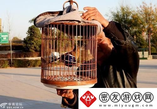“八旬翁养鸟-时髦害处论-网友辣评-新潮背后藏何玄机！”