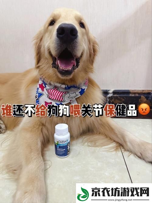 狗界革命餐单揭秘：创新人狗胶-犬食狂欢不止于饱！