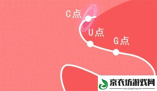 自w到高c：追求卓越的成长之路