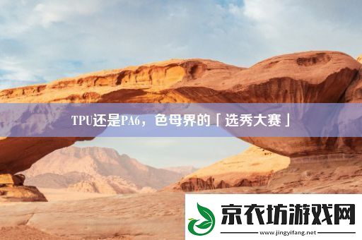 TPU还是PA6-色母界的「选秀大赛」