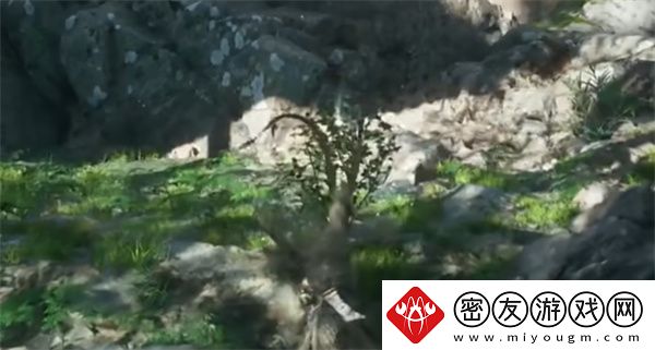 黑神话悟空漱玉花种子如何获取