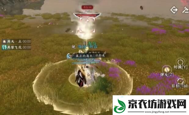 逆水寒手游洞庭问剑攻略