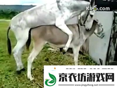 “奇配狂想曲：动物界的‘选婿’大作战！”
