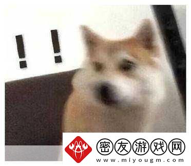 自杀小队2剧情惊天逆转-结局竟是虚幻泡影-玩家情绪沸腾！