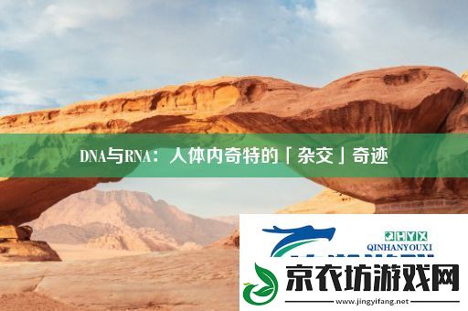 DNA与RNA：人体内奇特的「杂交」奇迹