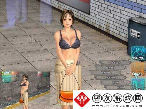 电车之狼-r-操作指南：如何成为电车之狼