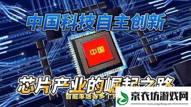 国产：自主创新之路的崛起与辉煌