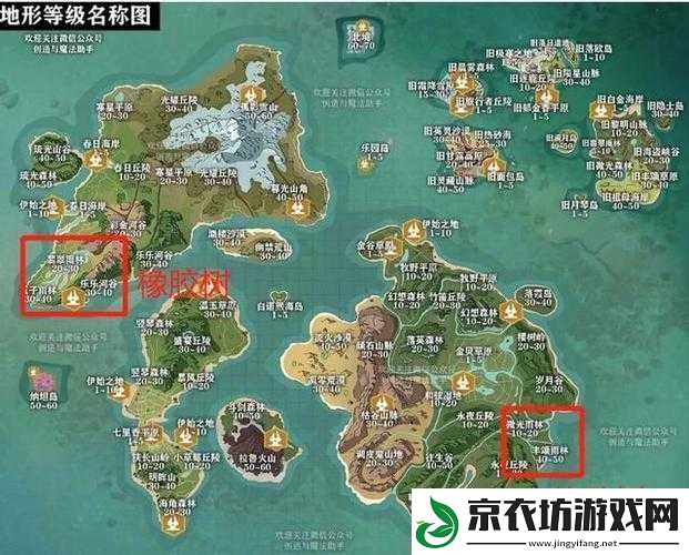 创造与魔法橡胶树位置全解-快速找到橡胶树的技巧