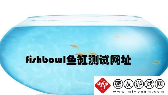 fishbowl鱼缸测试址-fishbowl鱼缸测试址入口分享