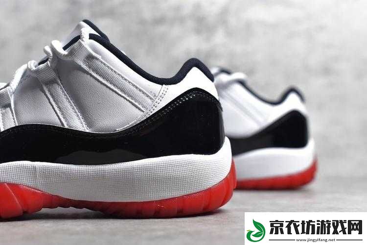 宿舍的-AJ11-飞机：独特的潮流焦点!