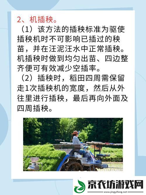 夫妻插秧38种方法图片大全-网友：用心和爱编织田间情