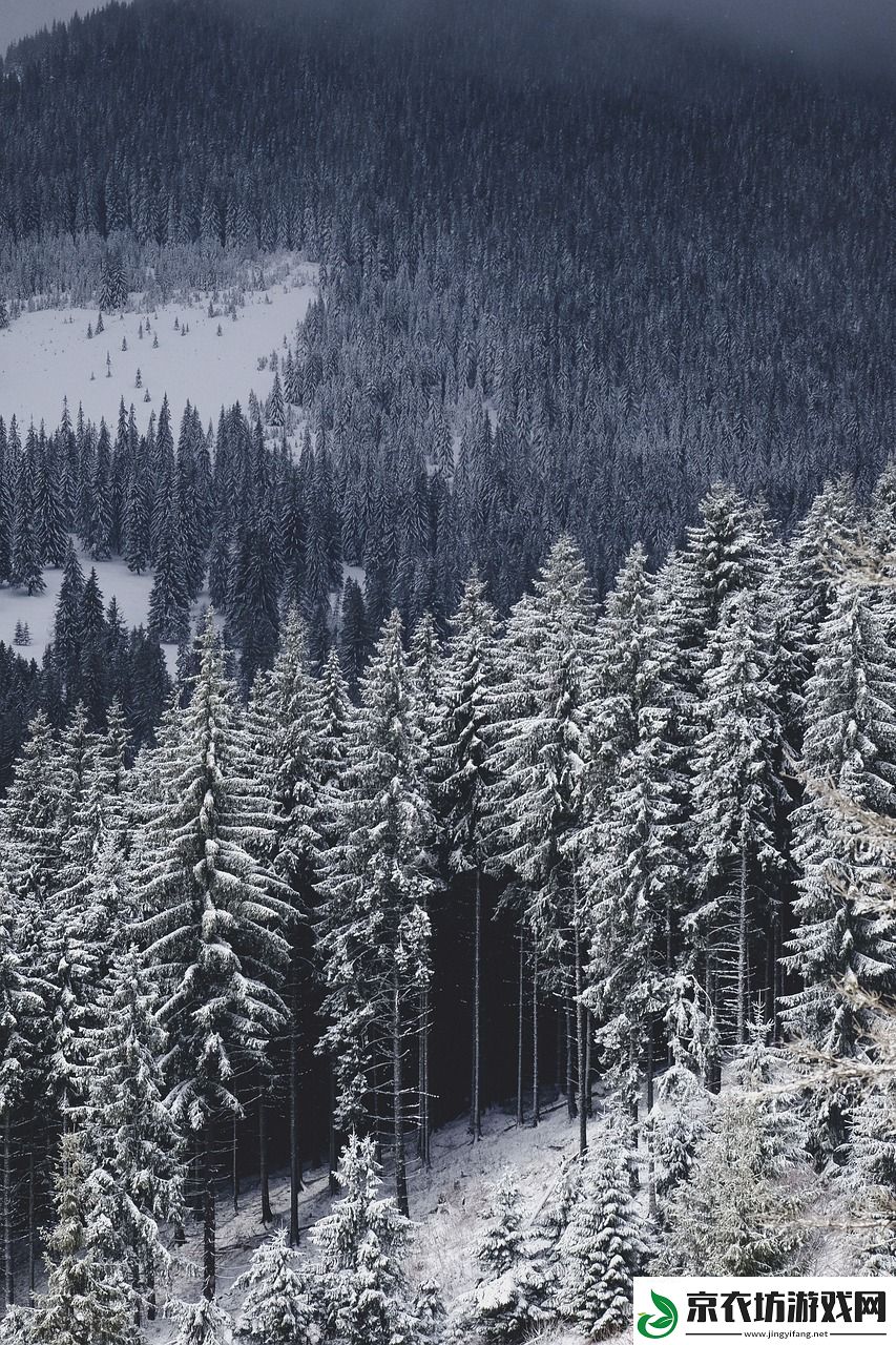 逆水寒雪河-探索游戏中的江湖与风景