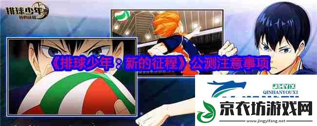 排球少年：新的征程公测注意事项