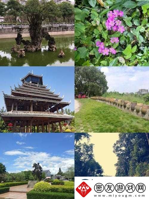 英雄战歌：古墓琴瑟效果获取图鉴——探寻神秘古墓-掌握英雄力量