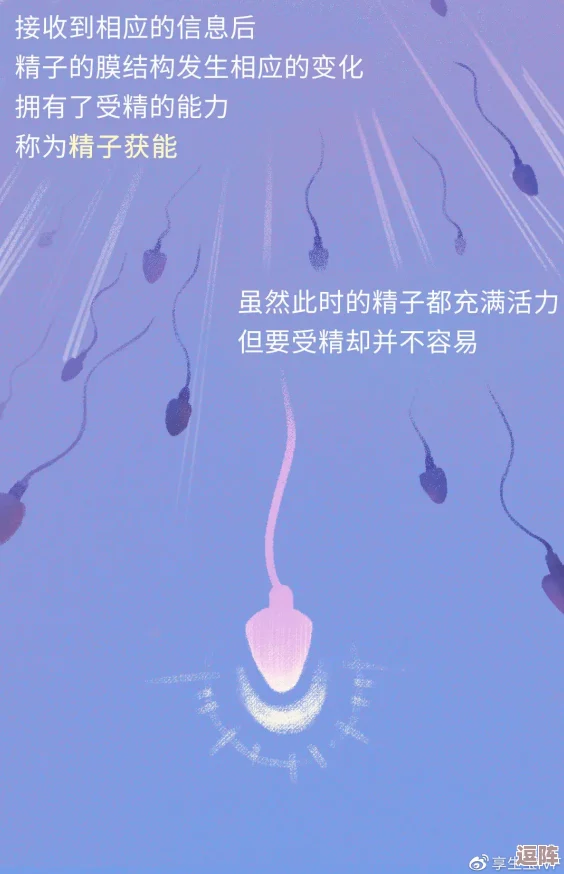 雷电大人被注入**！震惊全网的奇异实验背后隐藏着怎样不可思议的秘密