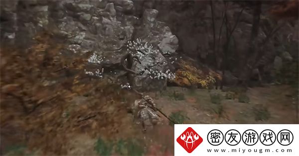 黑神话悟空树珍珠种子如何获取
