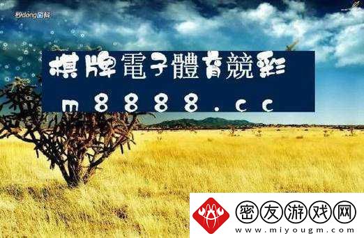 欧亚尺码专线欧洲-B1B1-的服务：优质高效新体验