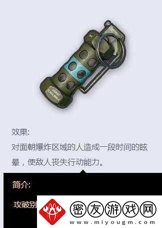 绝地求生刺激战场震爆弹全面解析：属性介绍与实战图鉴
