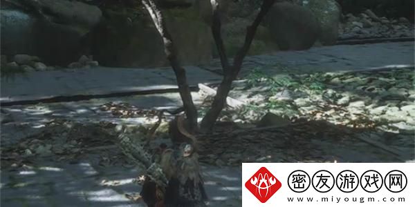 黑神话悟空黄花观松枘间打坐点在什么位置-终极BOSS战斗心得