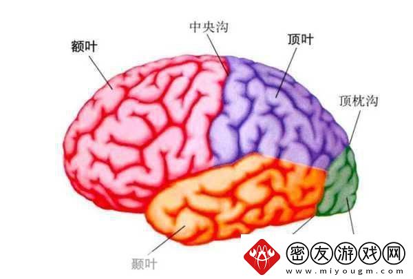 分裂之门2震撼来袭-三大派系能力全揭秘！