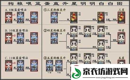 阴阳师式神站位影响及优化策略