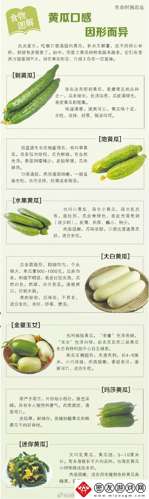 黄瓜还是西红柿