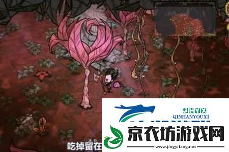 饥荒哈姆雷特藤蔓如何获得