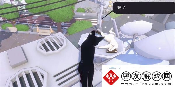 小猫咪大城市等待一缕阳光任务攻略