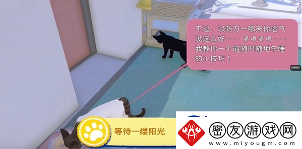 小猫咪大城市等待一缕阳光任务攻略