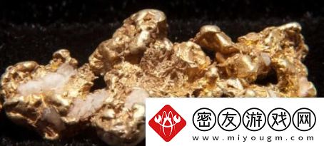 含金量还在上升是什么梗络用语-含金量还在上升梗意思及出处分享