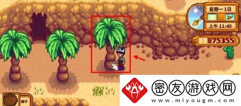 星露谷物语椰子获取攻略