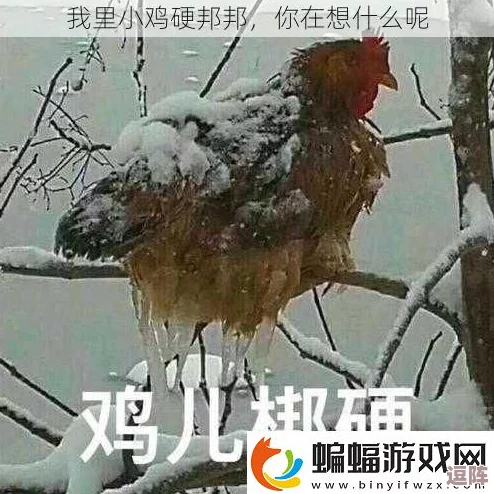 我里小鸡硬邦邦前一句怎么说